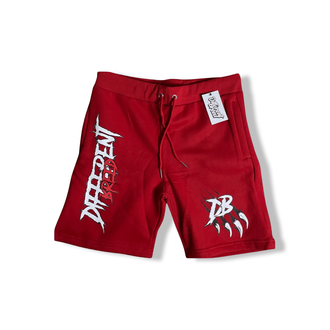 DBS1 “Red” Fleece Shorts